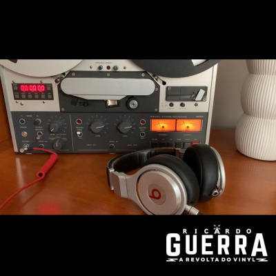 A Revolta Do Vinyl | Ricardo Guerra