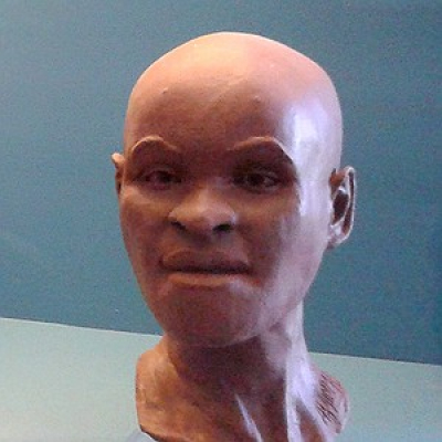 Música É História - Luiz Fernando Vianna