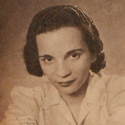 Música É História - Luiz Fernando Vianna