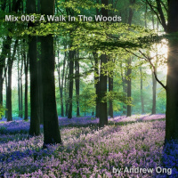 Mix 008 - A Walk In The Woods