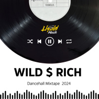 WILD $ RICH DANCEHALL MIXTAPE - ZJ LIQUID 2024