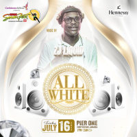 Reggae Sumfest All White Affair 2024 ZJ Liquid