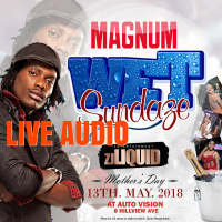 #ZjLiquidLive @ Wet Sundayz Mothers Day 2018( PROMO ONLY )