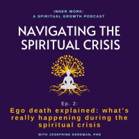 NAVIGATING THE SPIRITUAL CRISIS: 2 - Ego Death Explained: Whats really happening during the spiritual crisis or awakening