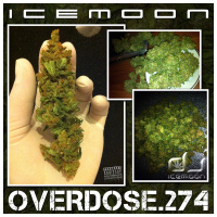 ICEMOON [OVERDOSE] OUTRO