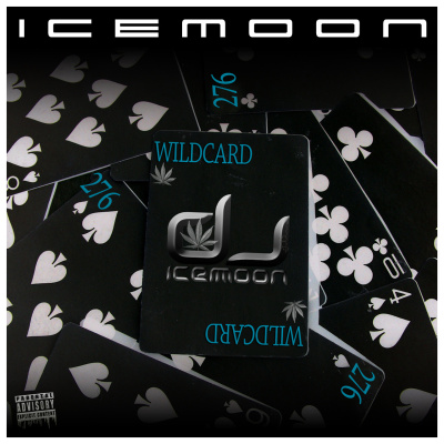 Dj Icemoon | The Beat Confusion - Live Mixtapes