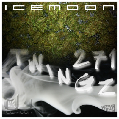 Dj Icemoon | The Beat Confusion - Live Mixtapes