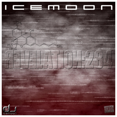 Dj Icemoon | The Beat Confusion - Live Mixtapes