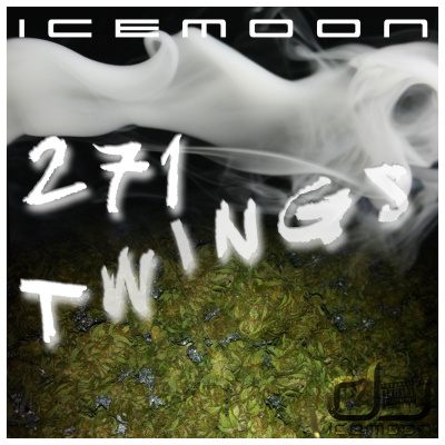 Dj Icemoon | The Beat Confusion - Live Mixtapes