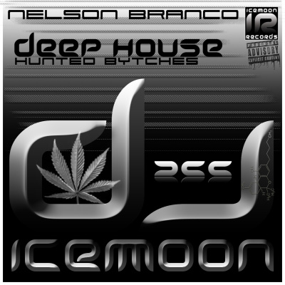 Dj Icemoon | The Beat Confusion - Live Mixtapes