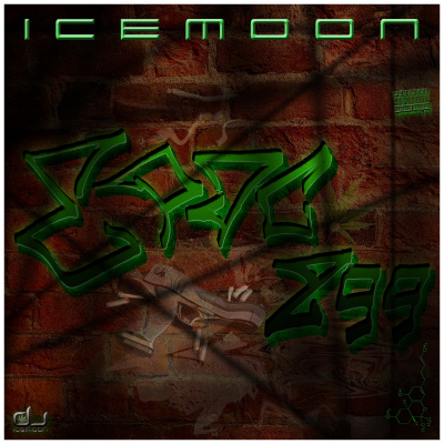 Dj Icemoon | The Beat Confusion - Live Mixtapes