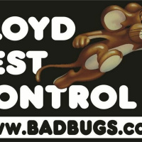 Lloyd Pest Control So Cal Artist of the Week 1 22 16 JEFF BERKLEY