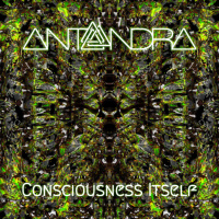 Consciousness Itself
