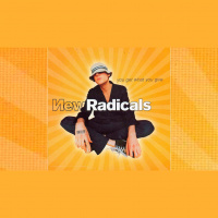 NEW RADICALS