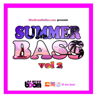 SUMMER BASS vol 2 (2017)
