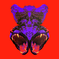 Four Four Premiere: La Vie Sauvage - Cold Sweat (Extended Mix)