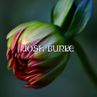 Four Four Premiere: Josh Burke - Californian Saviour [MOYA]