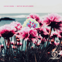 Lucas Ogma - Alternative Governing Frameworks [Ogma Records] (Free Download)
