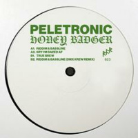 Four Four Premiere: Peletronic - Sry I‘m Dazed AF [RFR Records]