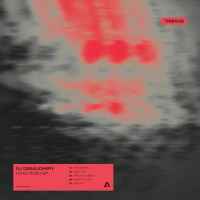 Four Four Premiere: DJ Debauchery - Half Life [TRSN]