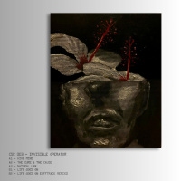 Four Four Premiere: Invisible Operator - Hive Mind [Circuit Structure Records]