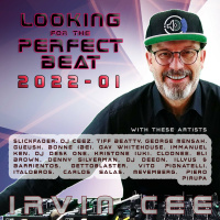 Looking for the Perfect Beat 2022-01 - RADIO SHOW by Irvin Cee