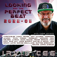Looking for the Perfect Beat 2022-05 - RADIO SHOW by Irvin Cee