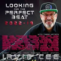 Looking for the Perfect Beat 2022-19 - non-hosted version by Irvin Cee