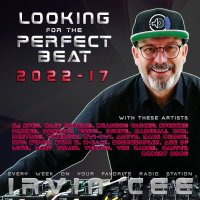 Looking for the Perfect Beat 2022-17 - RADIO SHOW by Irvin Cee