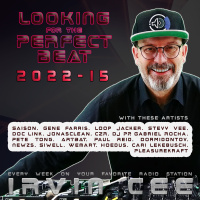 Looking for the Perfect Beat 2022-15 - RADIO SHOW by Irvin Cee