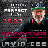 Looking for the Perfect Beat 2023-11 - RADIO SHOW by Irvin Cee