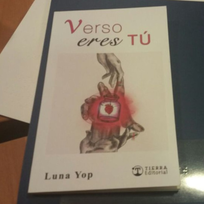 Musica Y Palabras