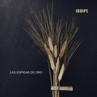 Musica Y Palabras