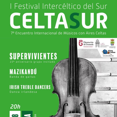 Musica Y Palabras