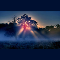 Alexy.Nov - Imaginations in Twilight Dew (part 2)