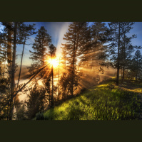 Alexy.Nov - Light  Melody
