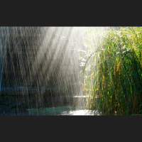 Alexy.Nov  Sonic Scope - Rain Music