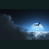 Alexy.Nov  Sonic Scope - Raven Fantasy