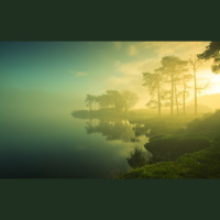 Alexy.Nov - Twilight Relax