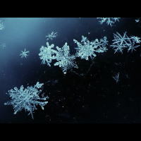 Alexy.Nov - White Waltz of Snowflakes (cover)