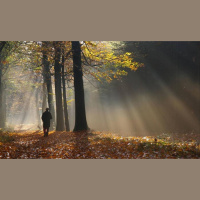 Alexy.Nov - Classical Autumn Melancholy