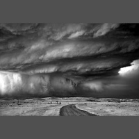 Alexy.Nov - Gray Rustles