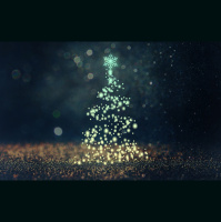 Alexy.Nov - December Rain (cover)