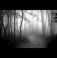 Alexy.Nov - Proximity of Anxiety