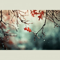 Alexy.Nov - November Fantasy