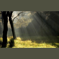 Alexy.Nov - Ambient of June