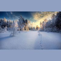 Alexy.Nov - Winter is Coming