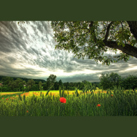 Alexy.Nov - Beautiful May