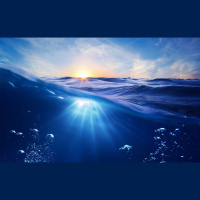 Alexy.Nov - Ocean of Dreams