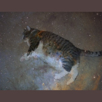 Alexy.Nov - Dream in anabiosis (Extreme Fat version)